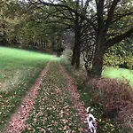 Alfie's *