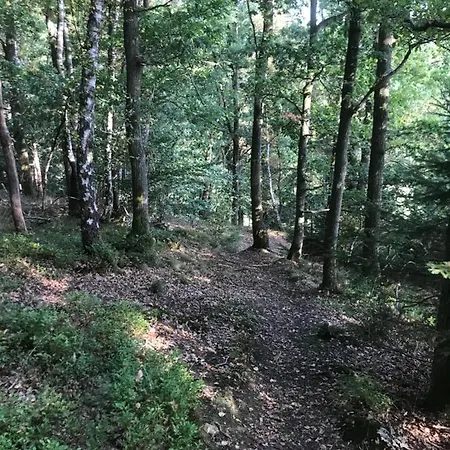 Апартаменты Alfie's