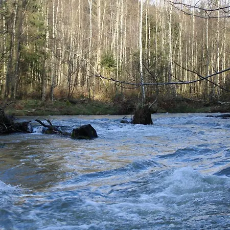 Alfie's Апартаменты