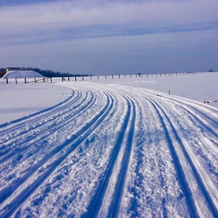 Апартаменты Alfie's Мальмеди