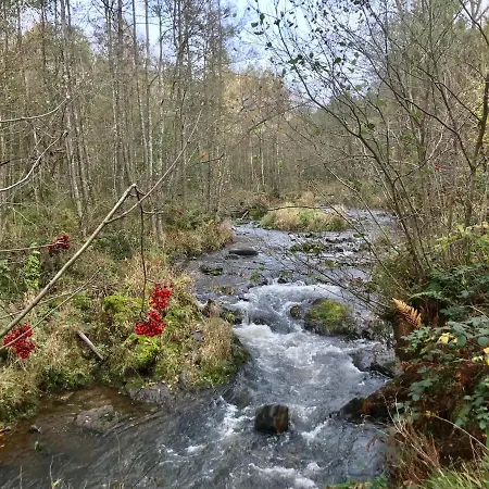 Alfie's * Мальмеди