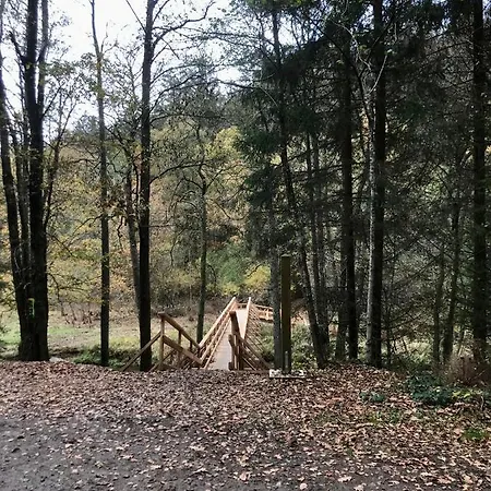 Alfie's Malmedy
