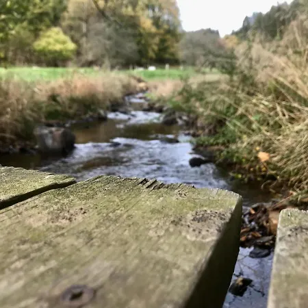 Alfie's * Мальмеди