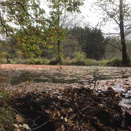 Alfie's * Мальмеди