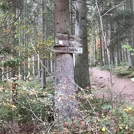 Alfie's Апартаменты