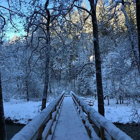 Апартаменты Alfie's *