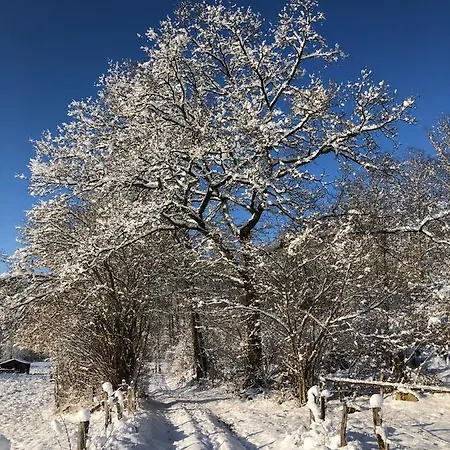 Alfie's Апартаменты