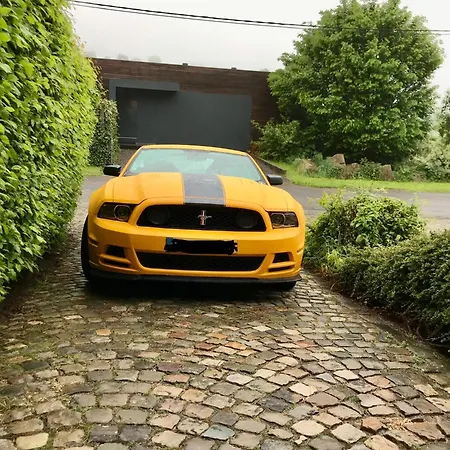 Alfie's * Мальмеди