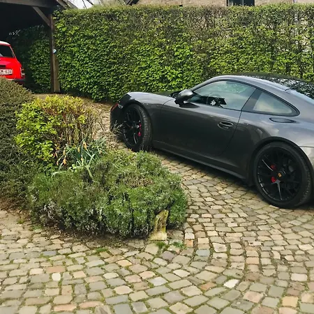 Alfie's Мальмеди