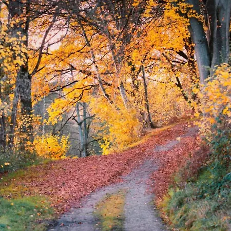 Апартаменты Alfie's Мальмеди