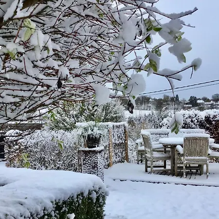 Alfie's Мальмеди