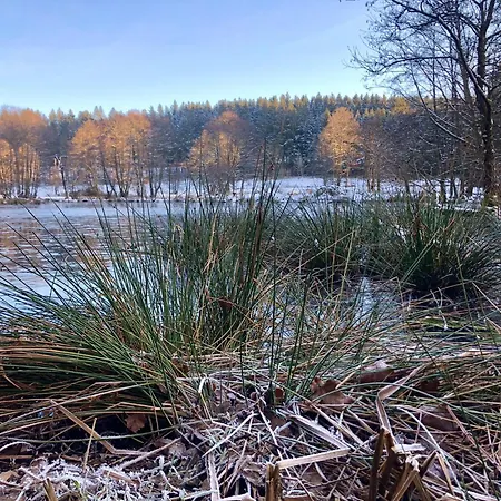 Апартаменты Alfie's *