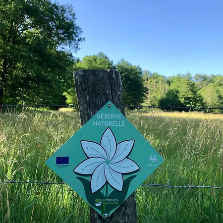 Апартаменты Alfie's