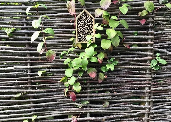 Apartamento Alfie's Malmedy