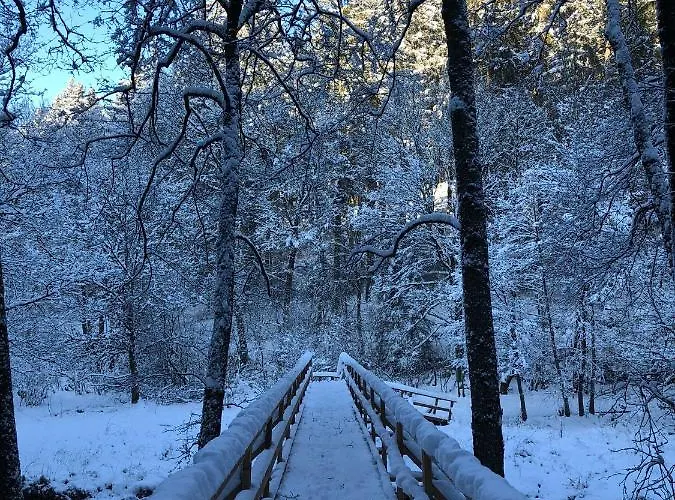 Apartamento Alfie's *