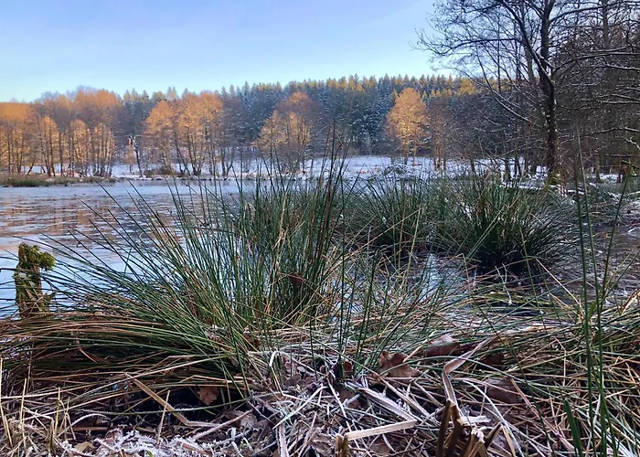 Apartamento Alfie's *